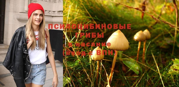 бутират Алексеевка