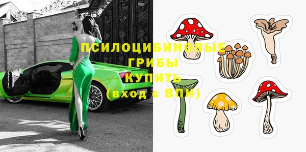 бутират Алексеевка